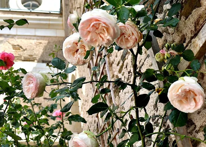 La Demeure De L'aubance 3*