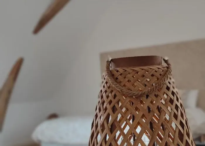 La Demeure De L'aubance Bed & Breakfast Saint-Mélaine-sur-Aubance