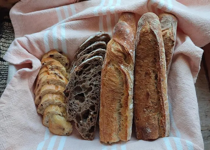 Bed & Breakfast La Demeure De L'aubance