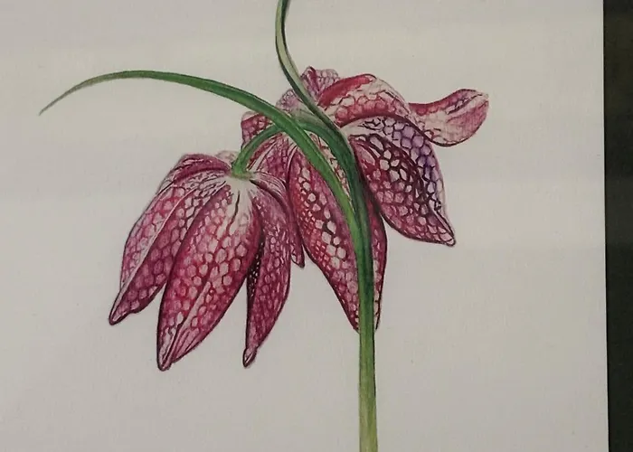 Panzió La Demeure De L'aubance 3*